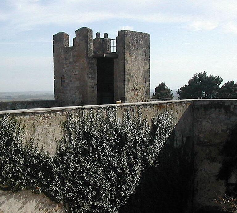 Castello di Sanluri